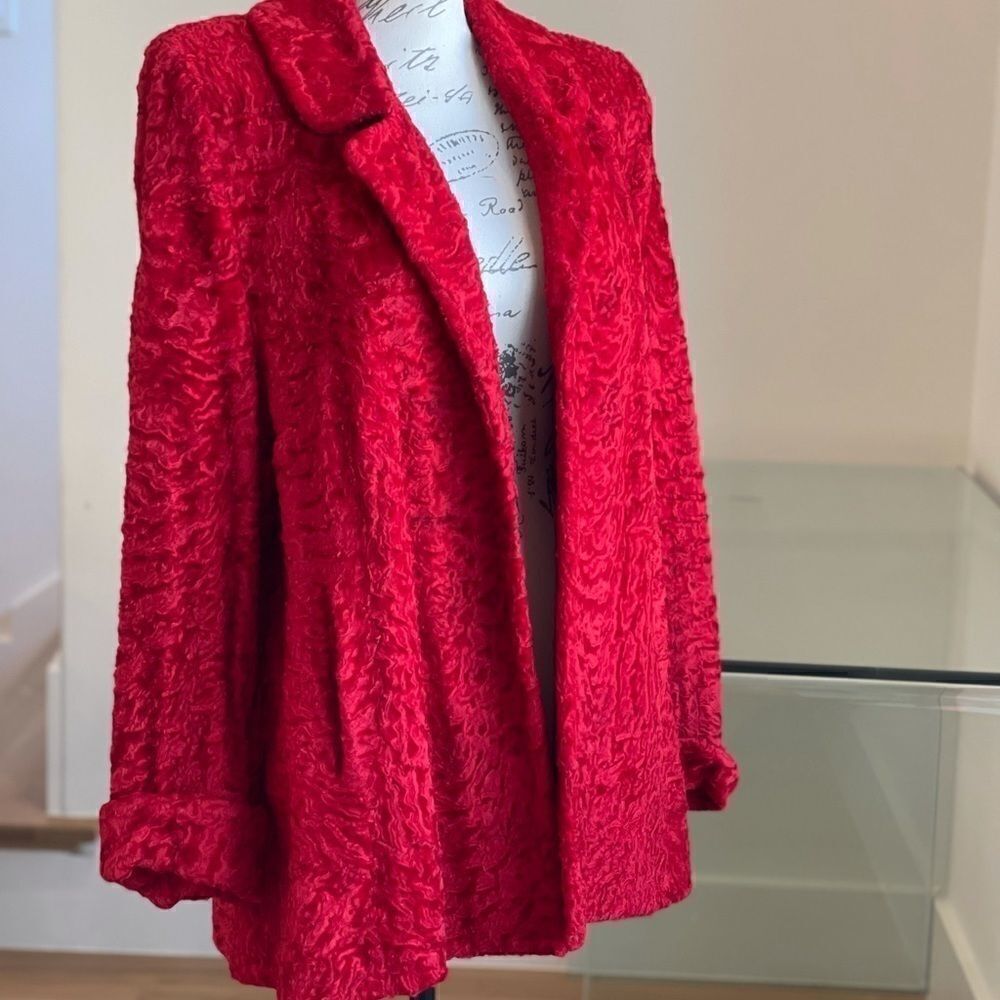 Stunning⭐️James Hirsch Red Inlay Detail Coat - 8